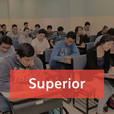 Educación Superior
